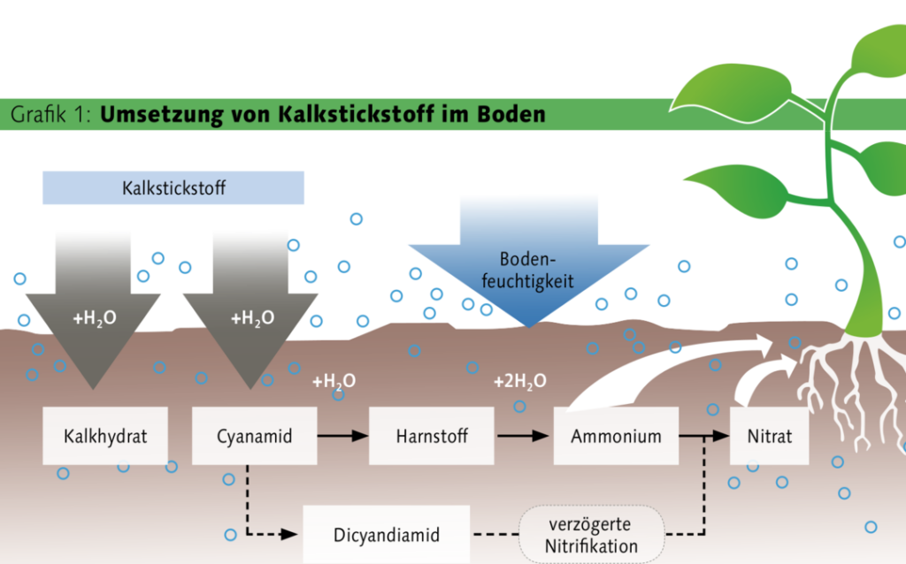 Kalkstickstoff Wann Ausbringen