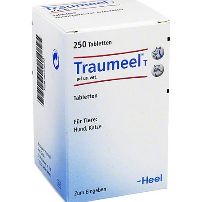 Traumeel Hund Humpelt